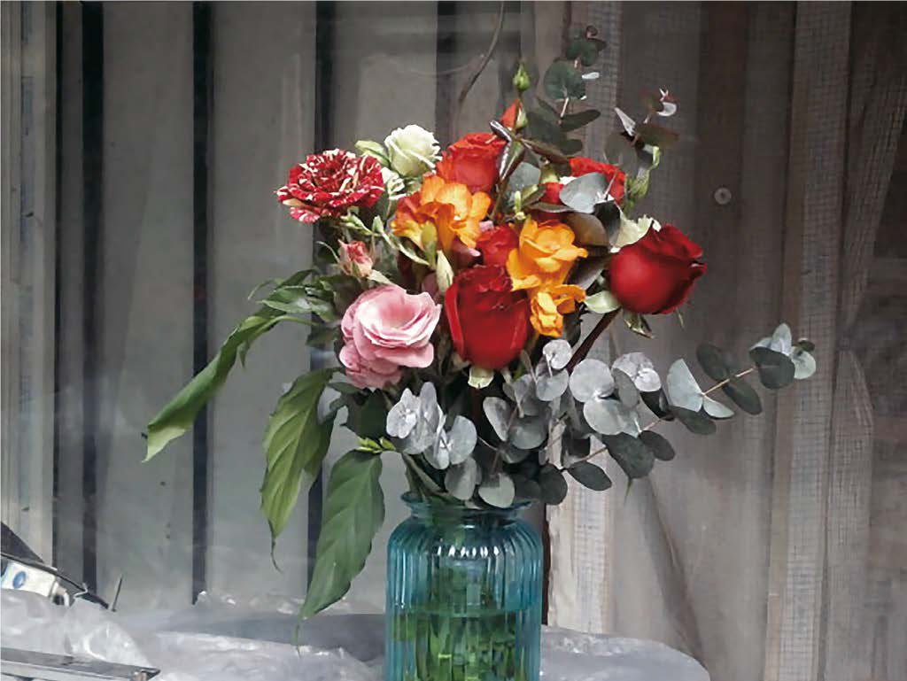 Lens in Bloom
